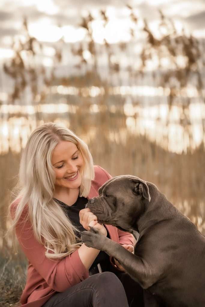 hundefotograf Ingolstadt